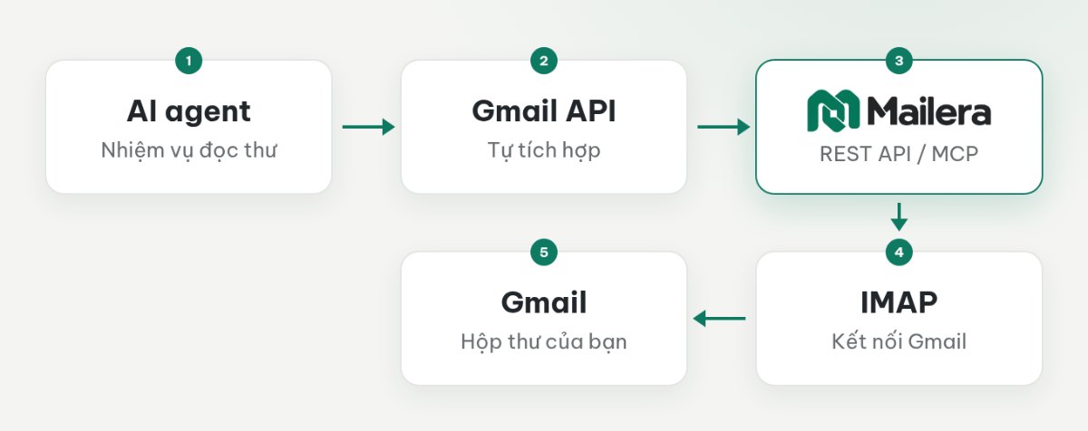 Hai đường đọc Gmail: agent tự dùng Gmail API hoặc đi qua REST API và MCP của Mailera tới IMAP.