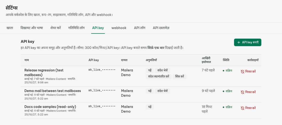 परीक्षण समूह तक सीमित मेलबॉक्स दायरे और केवल Read अनुमति वाली API कुंजी का फ़ॉर्म।
