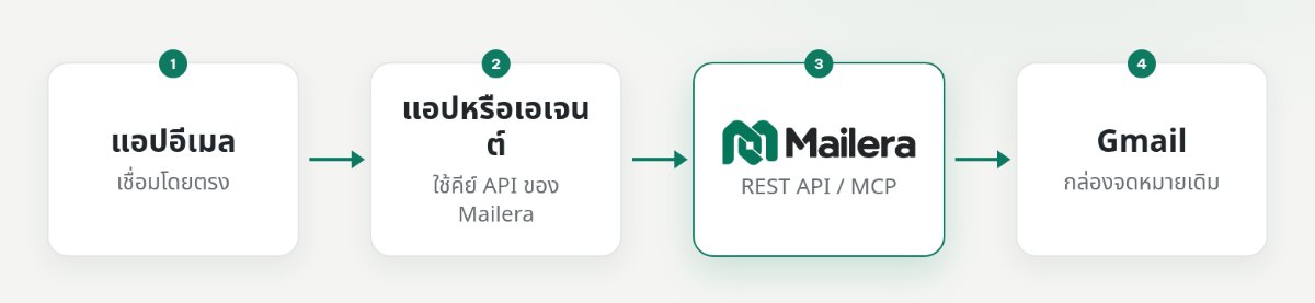แผนภาพแอปเชื่อม Gmail โดยตรง และเอเจนต์เชื่อมผ่าน REST API หรือ MCP ของ Mailera